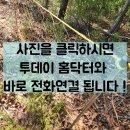 구로-현장-구로-1399 | 고라니 방지 차단 그물망 설치 작업