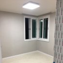 완산애견 이미지