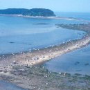 무창포해수욕장 이미지