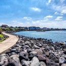 다인프라자 이미지