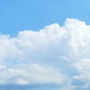 선양목장 이미지