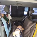 푸른하늘 동물병원 이미지