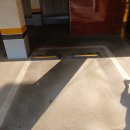 청두곶길 49 이미지