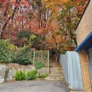 절고개 | 청계산 매봉 과천역 등산코스, 청계산 초보 등산 코스 추천