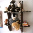 최창호농장 이미지