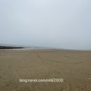 프리 펜션 이미지