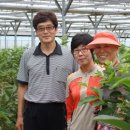 춘기농장 이미지