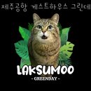 CU시민회관점 | 게스트하우스 제주공항 게스트하우스 그린데이 국내여행 떠나고 싶을 때 가성비숙소 가격 위치 숙소후기