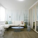 새벽-숲 이미지