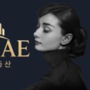 이편한세상나래 공인중개사사무소 이미지