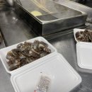 도전해동검도 공도관 이미지