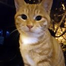 황금2동주민센터 이미지