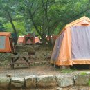 서울대공원 캠핑장 이미지