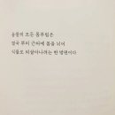 마음을 쓰다듬는 독서 이미지