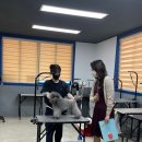 구미펫직업훈련학원 이미지