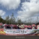 남원꽃