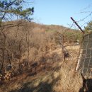 용미1리 이미지