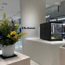 줄리엣스토어 이미지