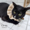 고양이 목욕탕 이미지