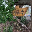 판관 조병로 불망비 이미지