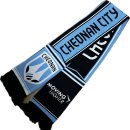 종합운동장유관순체육관 다목적경기장 | [K리그2] 천안시티FC vs 전남 드래곤즈 직관 후기