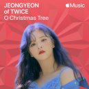 애플트리(APPLE TREE) 이미지