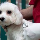 더봄동물병원 이미지