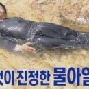 하이문빌리지