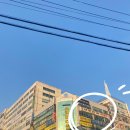 참사랑산부인과의원 네이버블로그