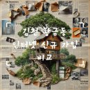 KT김천지점 | 김천 황금동 KT 초고속인터넷 신청, 체계적인 계획