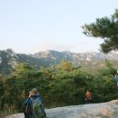 푸른빌딩 이미지