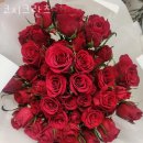 코지크란츠 | 초지동꽃집 코지크란츠 가격 위치 영업시간