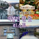 [삿포로] 오타루 당일치기, 반나절 여행 가볼 만한 곳 총정리