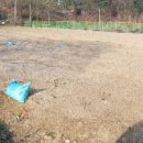 태영농장 이미지