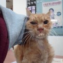 목동동로4길 이미지