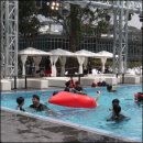 캠프통포레스트 이미지