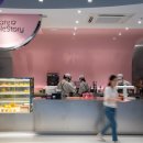 레벨업 PC 카페 이미지