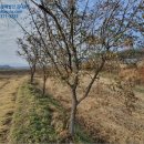 유치2리 마을회관 이미지