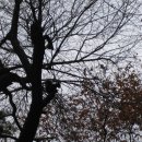 산복약수터 이미지