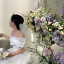 실크하우스 이미지