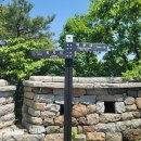 김봉창 코다리 이미지