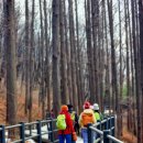 형제불고기 이미지