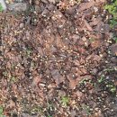 세용농장 이미지