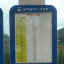 나우리 펜션 | 태안 안면도 창기리 펜션 추천 나우리펜션 후기