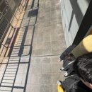 서초대로15길 4 이미지