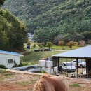 온의목장 | 남해 가볼만한 곳 양떼목장 앙마르뜨언덕 입장료 가격 방문후기