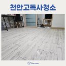 천안고독사청소 비대면 진행합니다