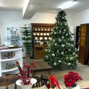 메종드마망 | 시흥 대야 메종드마망 프랑스 분위기의 디저트 카페 내돈내산 후기