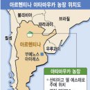남미농장 이미지