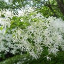 양명여자고등학교 이미지